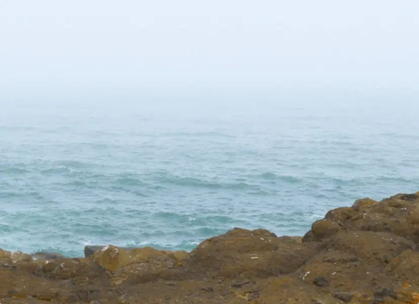 U.S. Sea Level Change Portal
